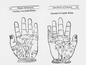 Palm Reading